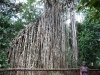 p1000766.jpg