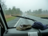 p1010176.jpg