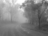 p1010559.jpg