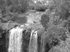 p1010780.jpg