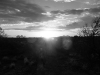 p1010989.jpg