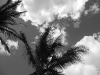 p1000977.jpg